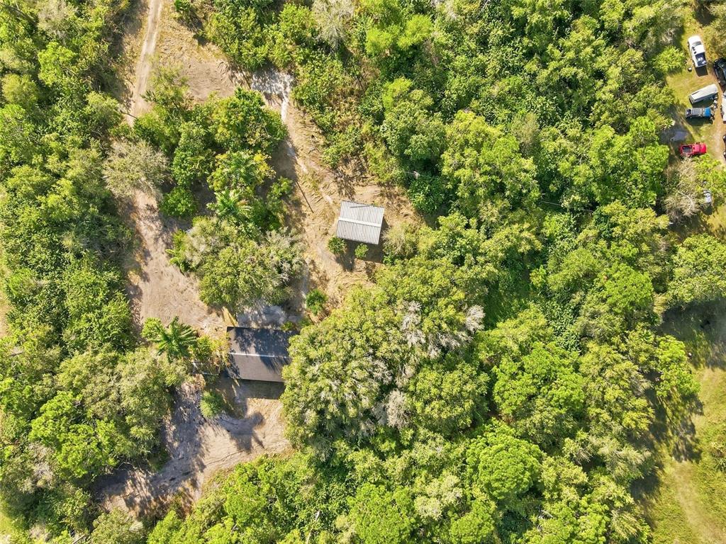 39970 Little Farm Road Punta Gorda, FL 33982 - Photo 3 of 20 a plant view