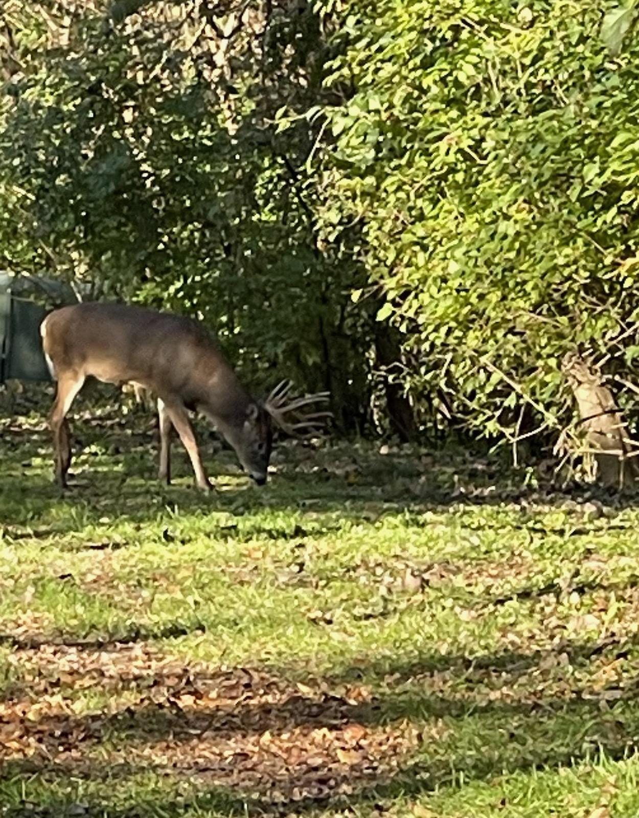 7850 North Keystone Ave  