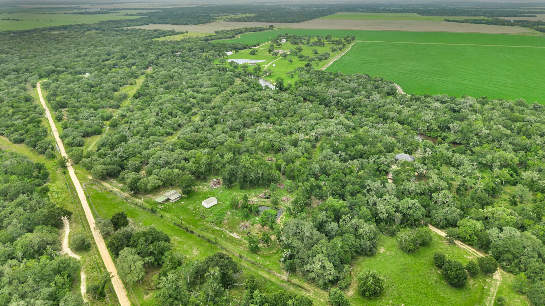 4600 Fm 1862 Road Palacios, TX 77465 - Photo 9 of 43