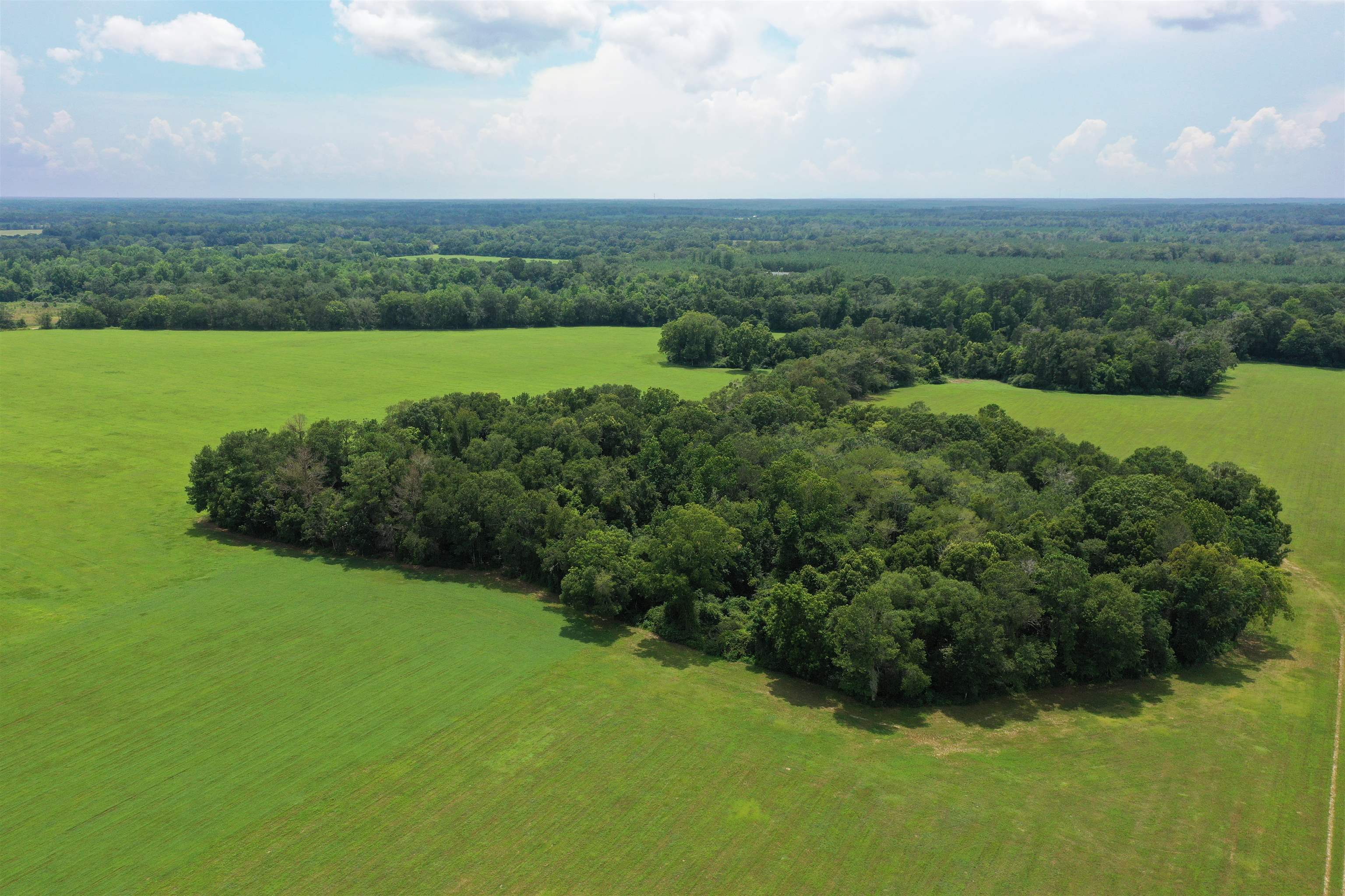 Xx Xx Max Herrin Road Quincy, FL 32352 - Photo 17 of 46