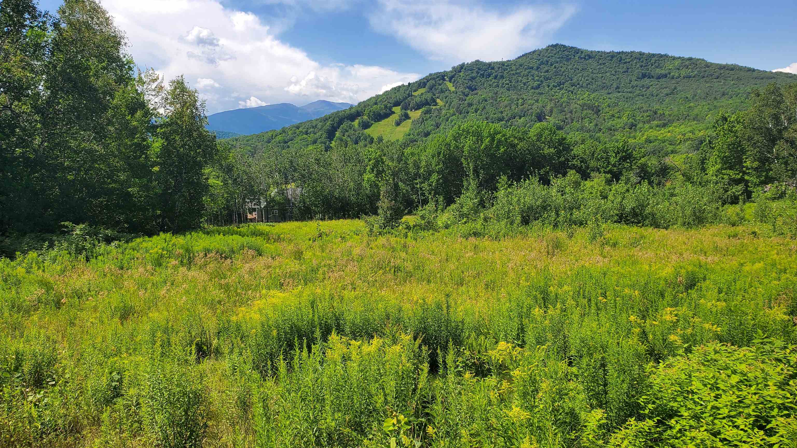Dundee Road, Unit 23 Jackson, NH 03846 - Photo 1 of 2