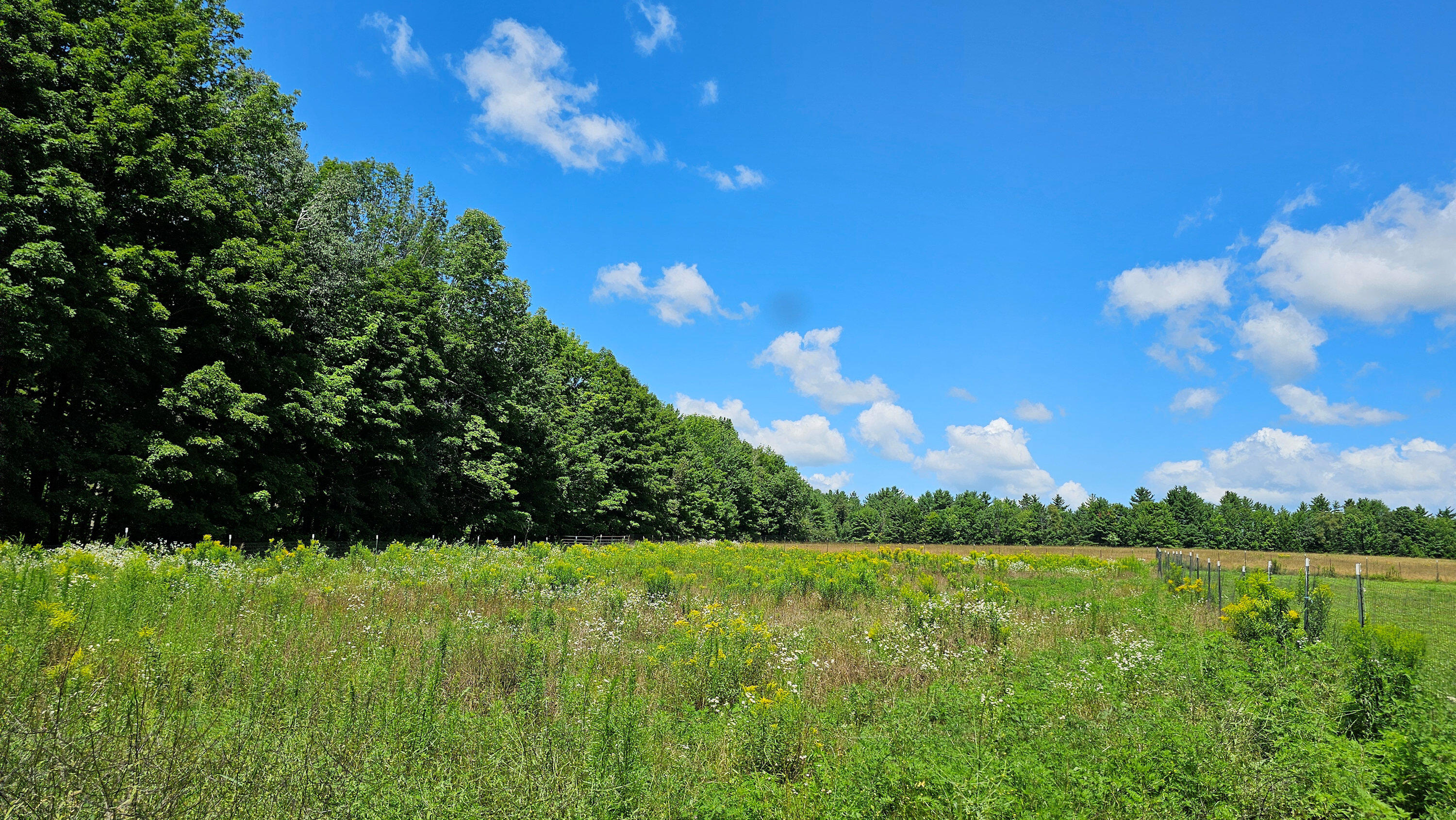 170 N Road Harmony, ME 04942 - Photo 55 of 56 Field_Left