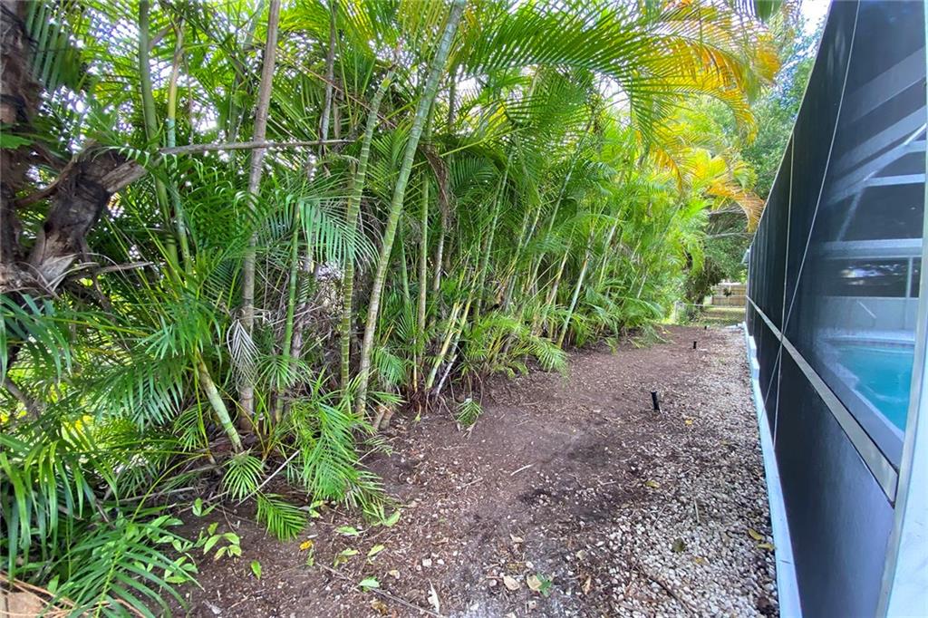 3285 3rd Place Vero Beach, FL 32968 - Photo 32 of 34 a view of a garden with plants
