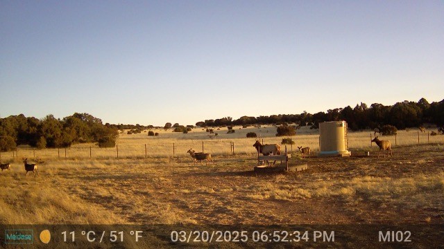 26262 US Highway 285 Ribera, NM 87560 - Photo 38 of 46