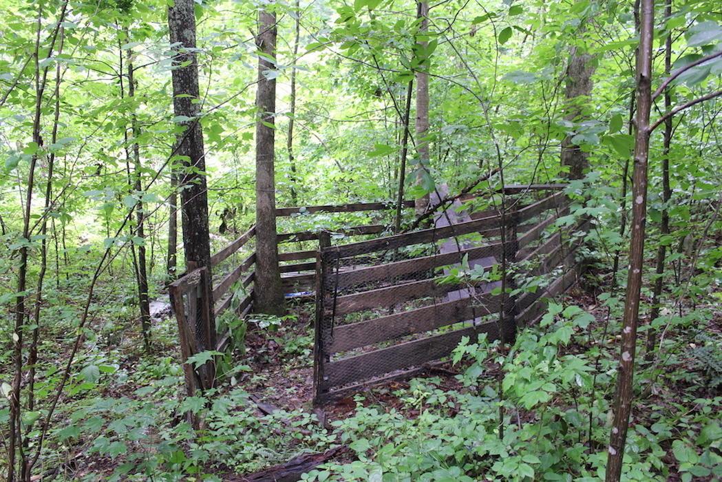 655 Peters Branch Road Crown City, OH 45623 - Photo 17 of 48