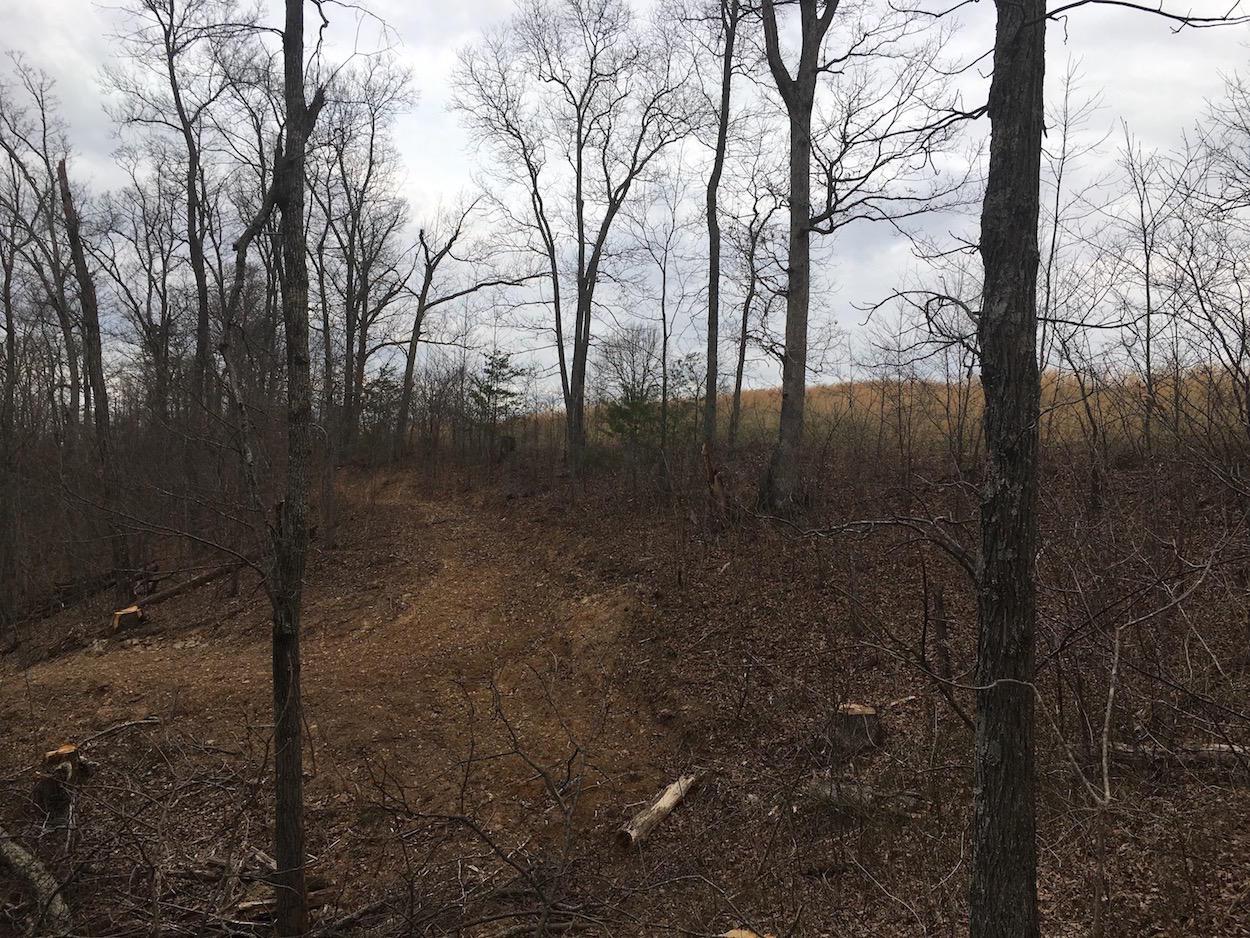 655 Peters Branch Road Crown City, OH 45623 - Photo 25 of 48