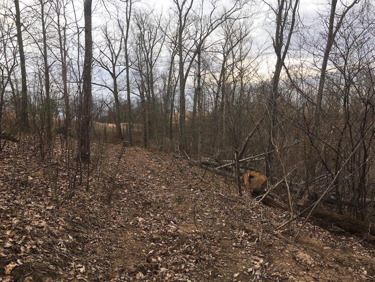 655 Peters Branch Road Crown City, OH 45623 - Photo 29 of 48
