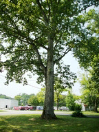 663 East Guthrie Road Bedford, IN 47421 - Photo 14 of 20 Gallery Image 14