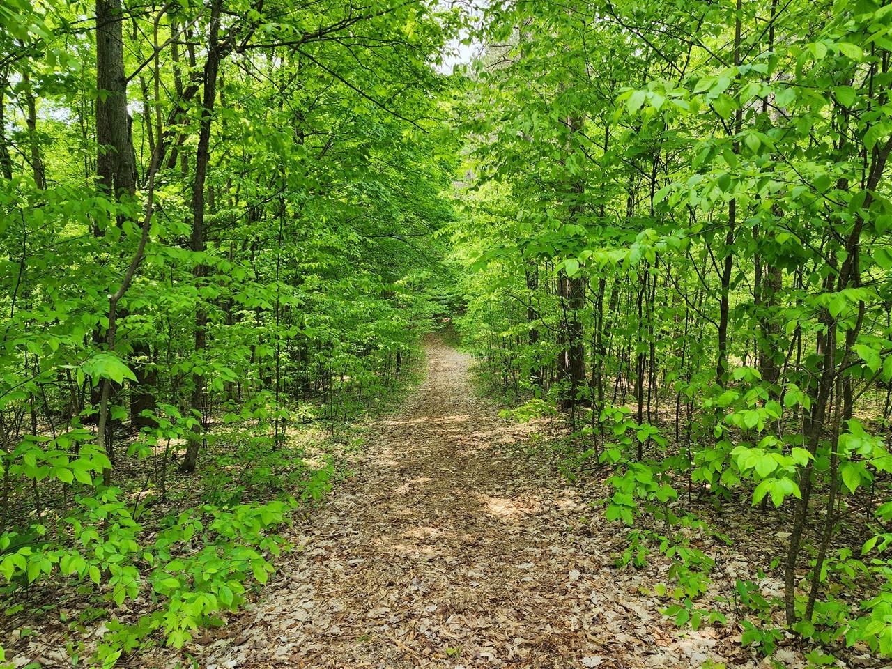 32 Goshawk Ridge Traverse City, MI 49684 - Photo 12 of 20