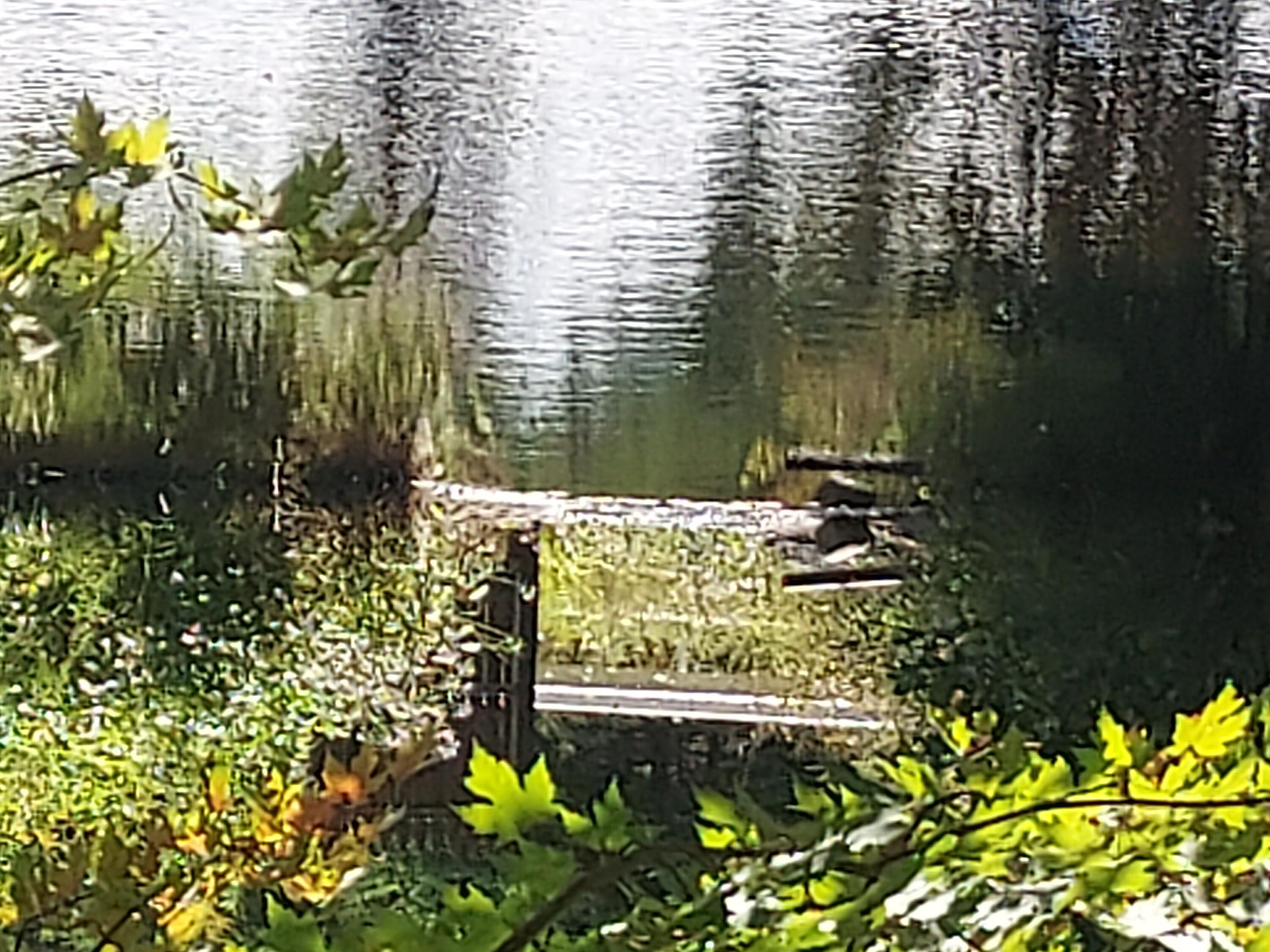 4862 Cascade Road Lake Placid, NY 12946 - Photo 20 of 24 Pond1