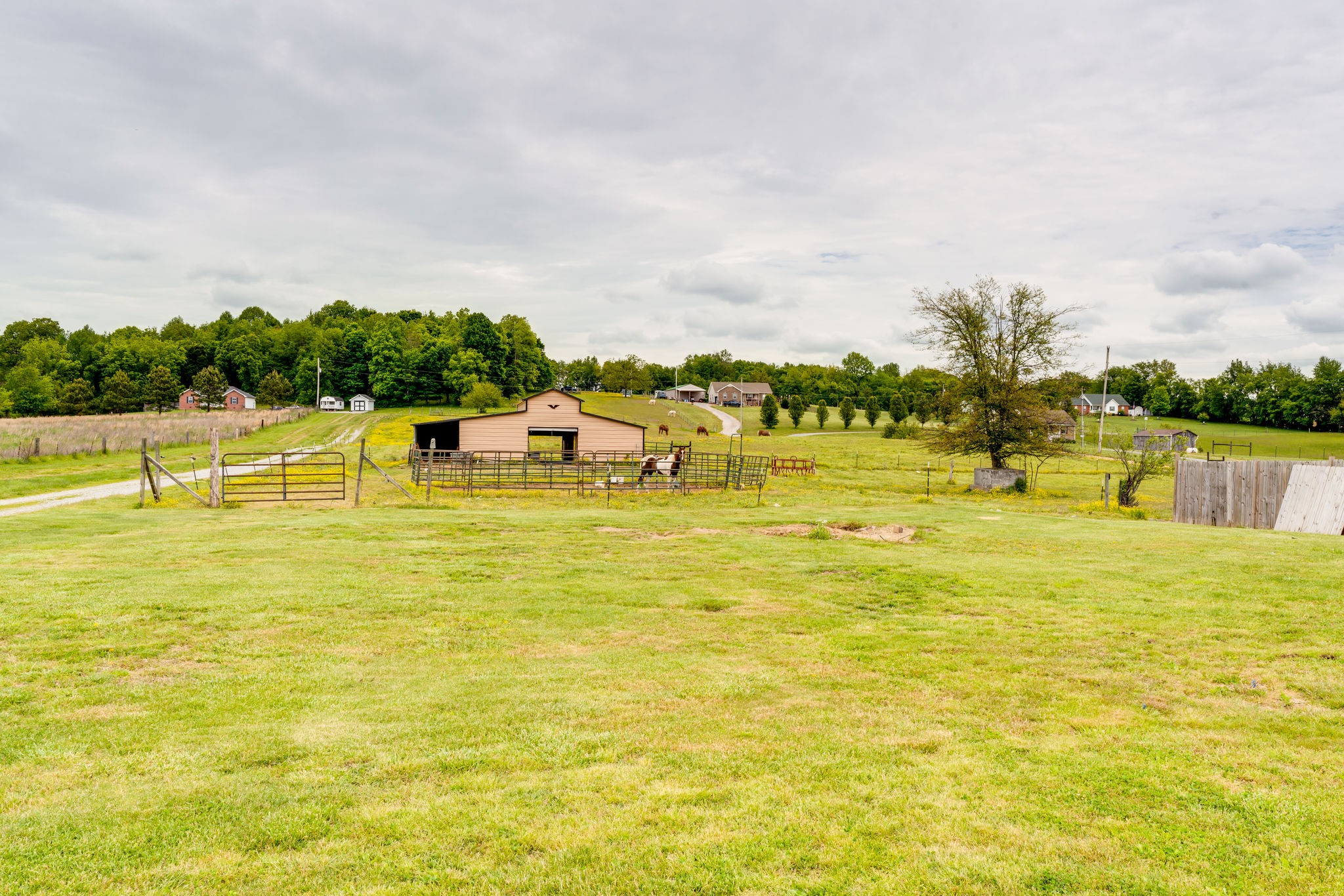 4981 Minnis Road Springfield, TN 37172 - Photo 21 of 27 Gallery Image 21