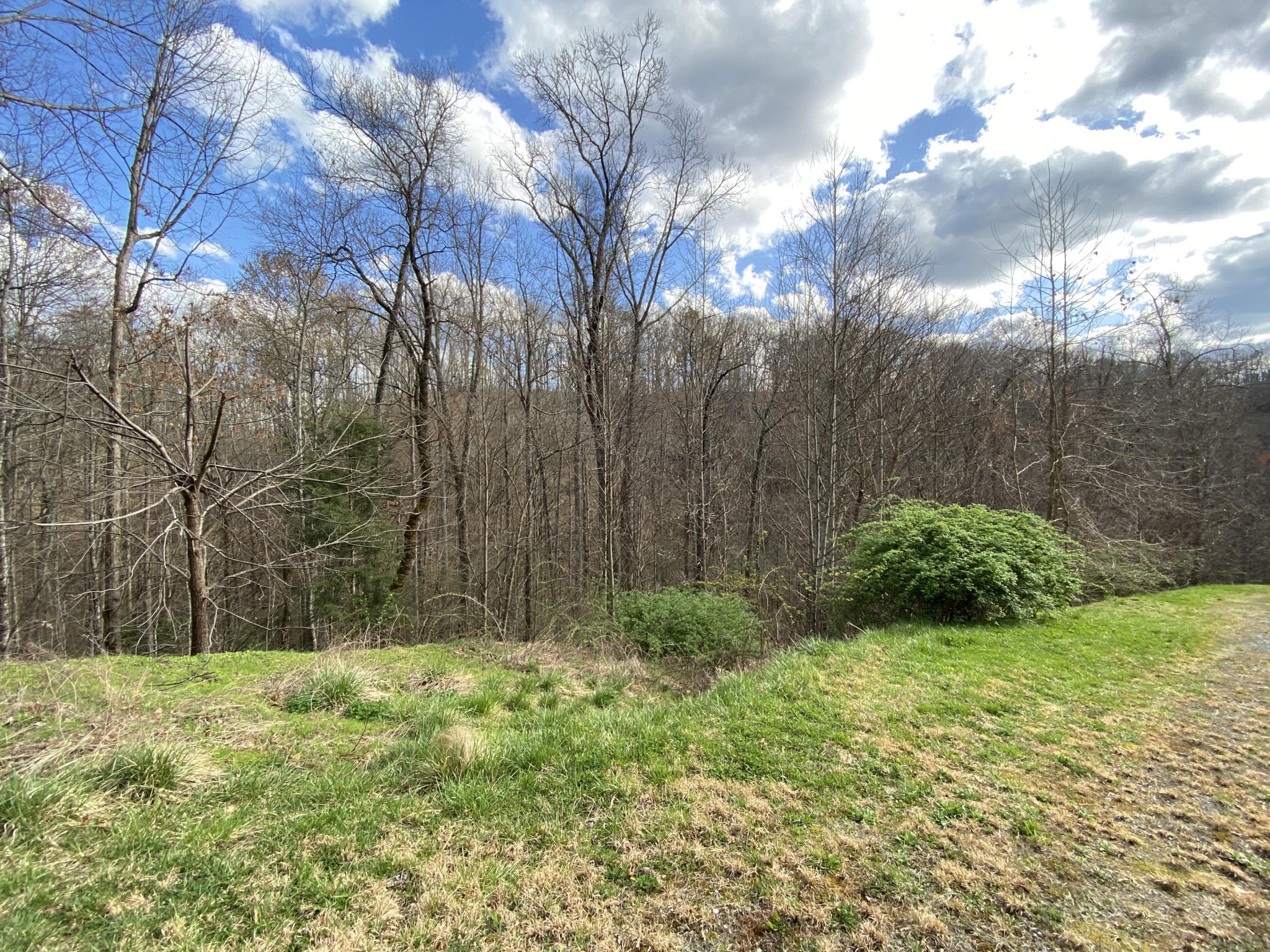 0 South Clear Fork Road Sevierville, TN 37862 - Photo 6 of 22 Gallery Image 6