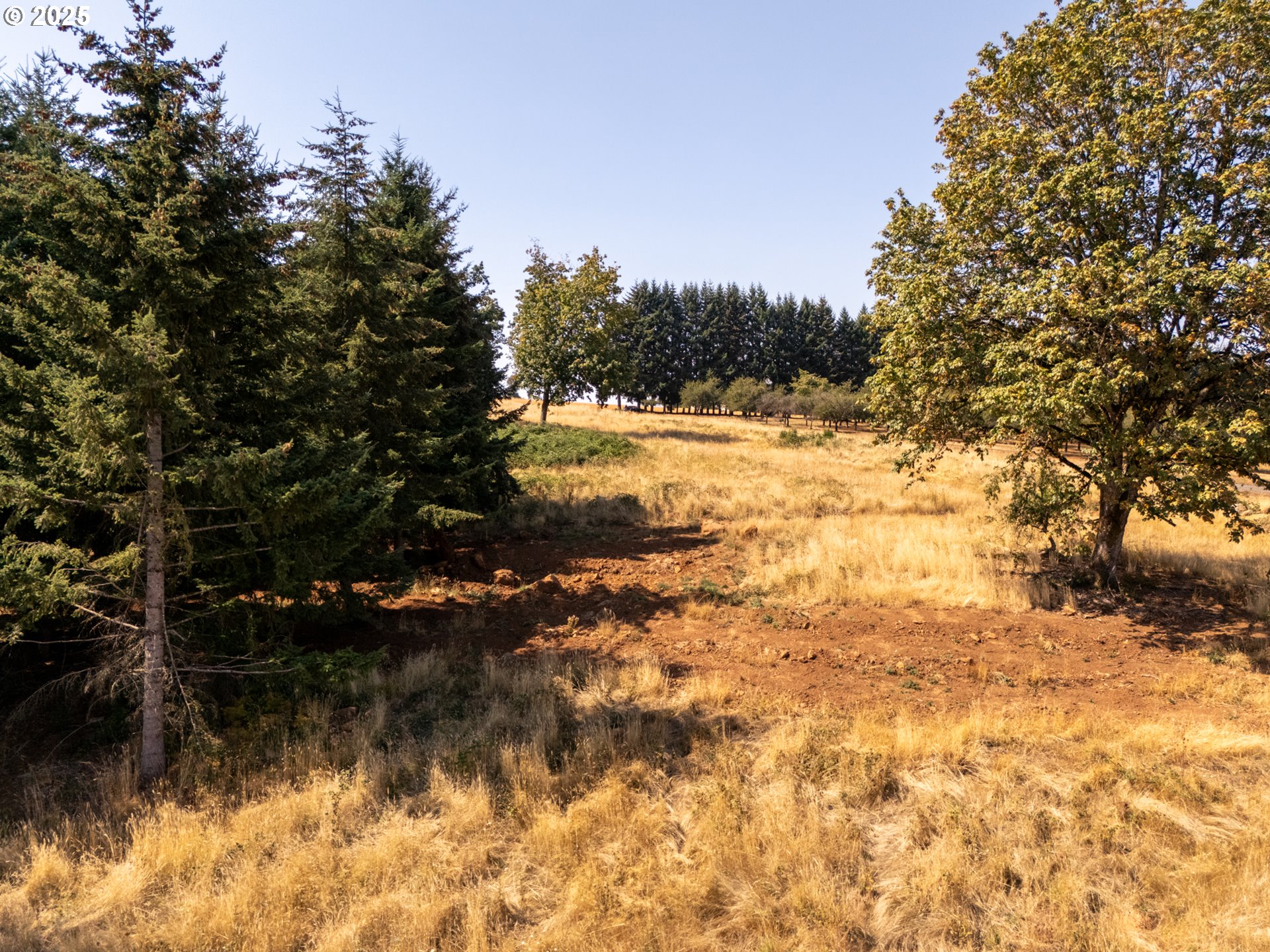 20 Franquette Amity, OR 97101 - Photo 21 of 34