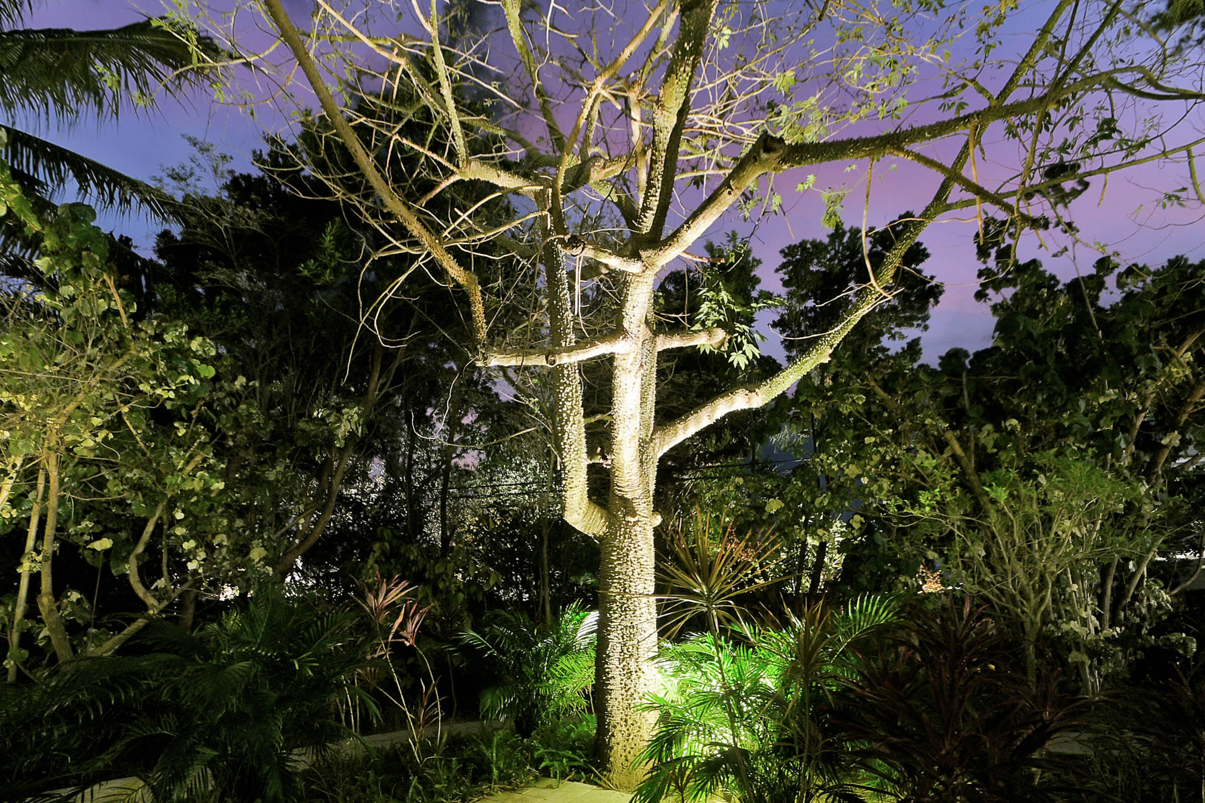 605 Wiggin Road Delray Beach, FL 33444 - Photo 117 of 123 131_dsc_5280