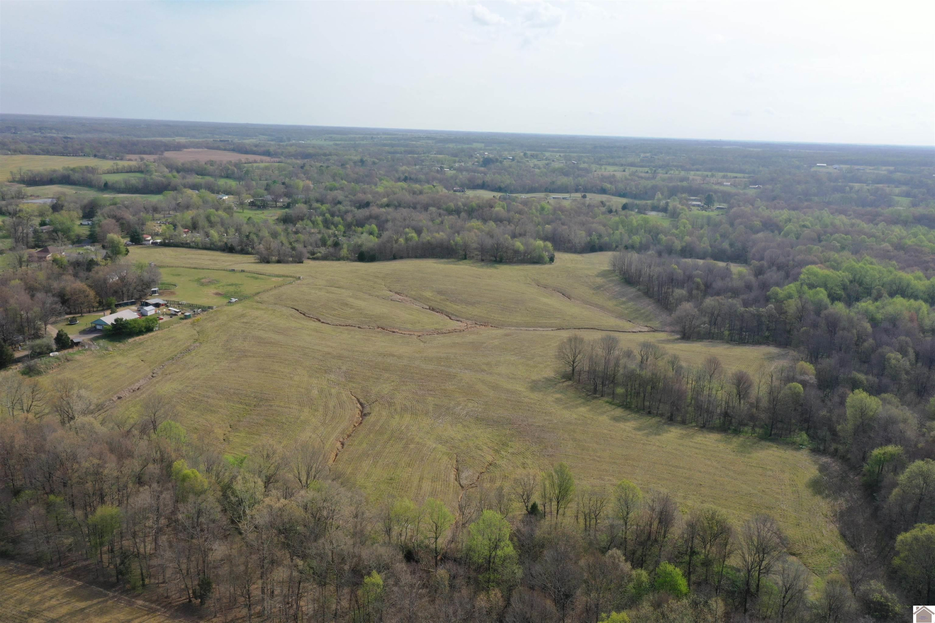 Dublin Hill Road, Unit TRACT 12 Fancy Farm, KY 42039 - Photo 22 of 22 Photo 22