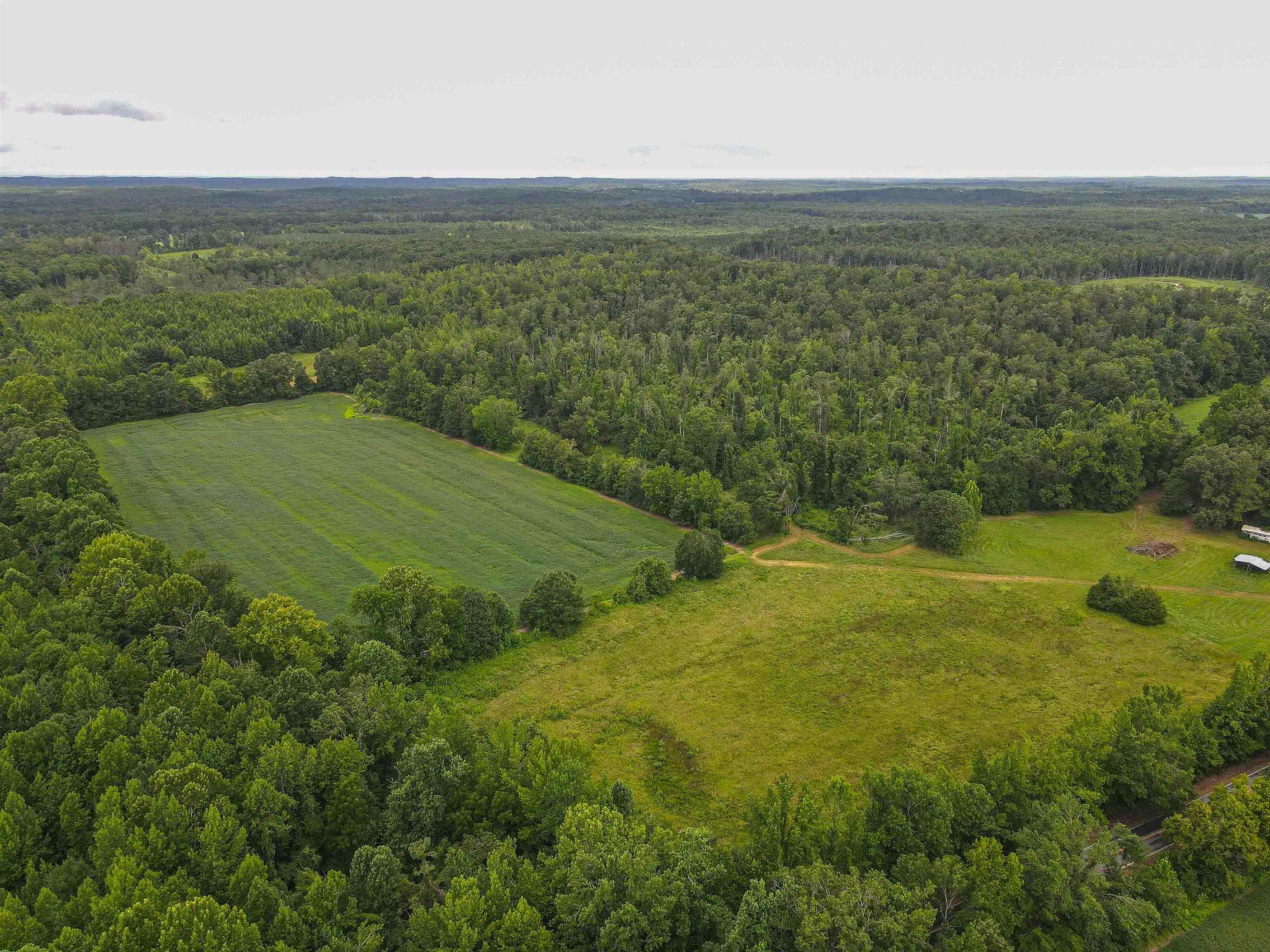 2029 Chewalla Road Ramer, TN 38367 - Photo 4 of 39