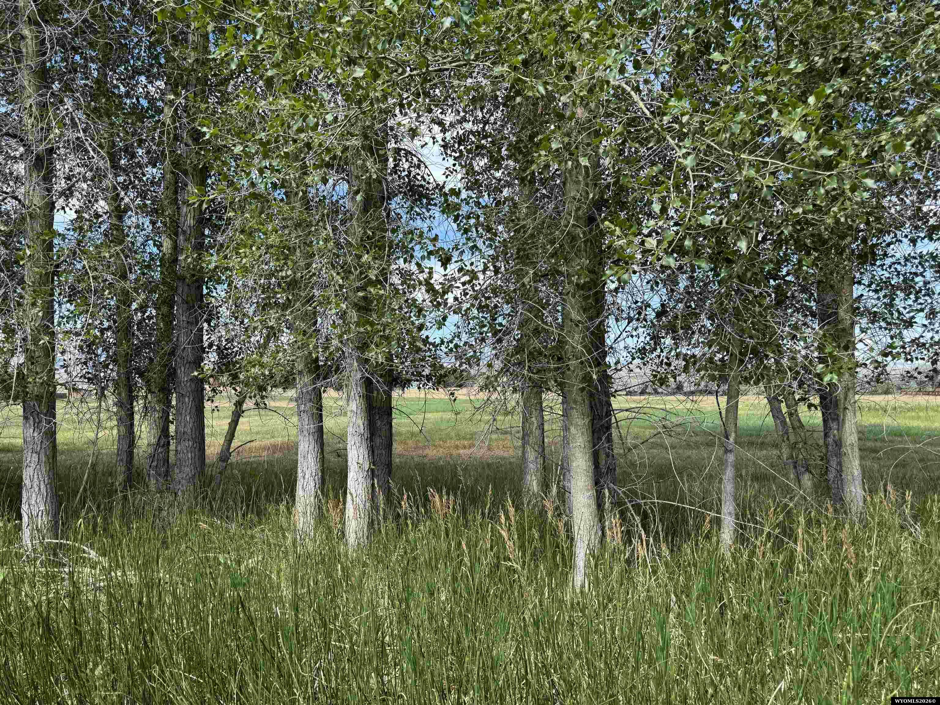335 Smith Street Lander, WY 82520 - Photo 6 of 44 Gallery Image 6