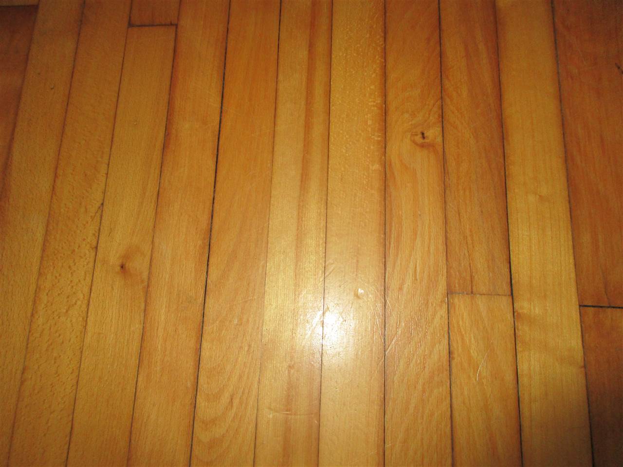 2836 Forrester Road Frankfort, MI 49635 - Photo 8 of 32 1833820-7.JPG