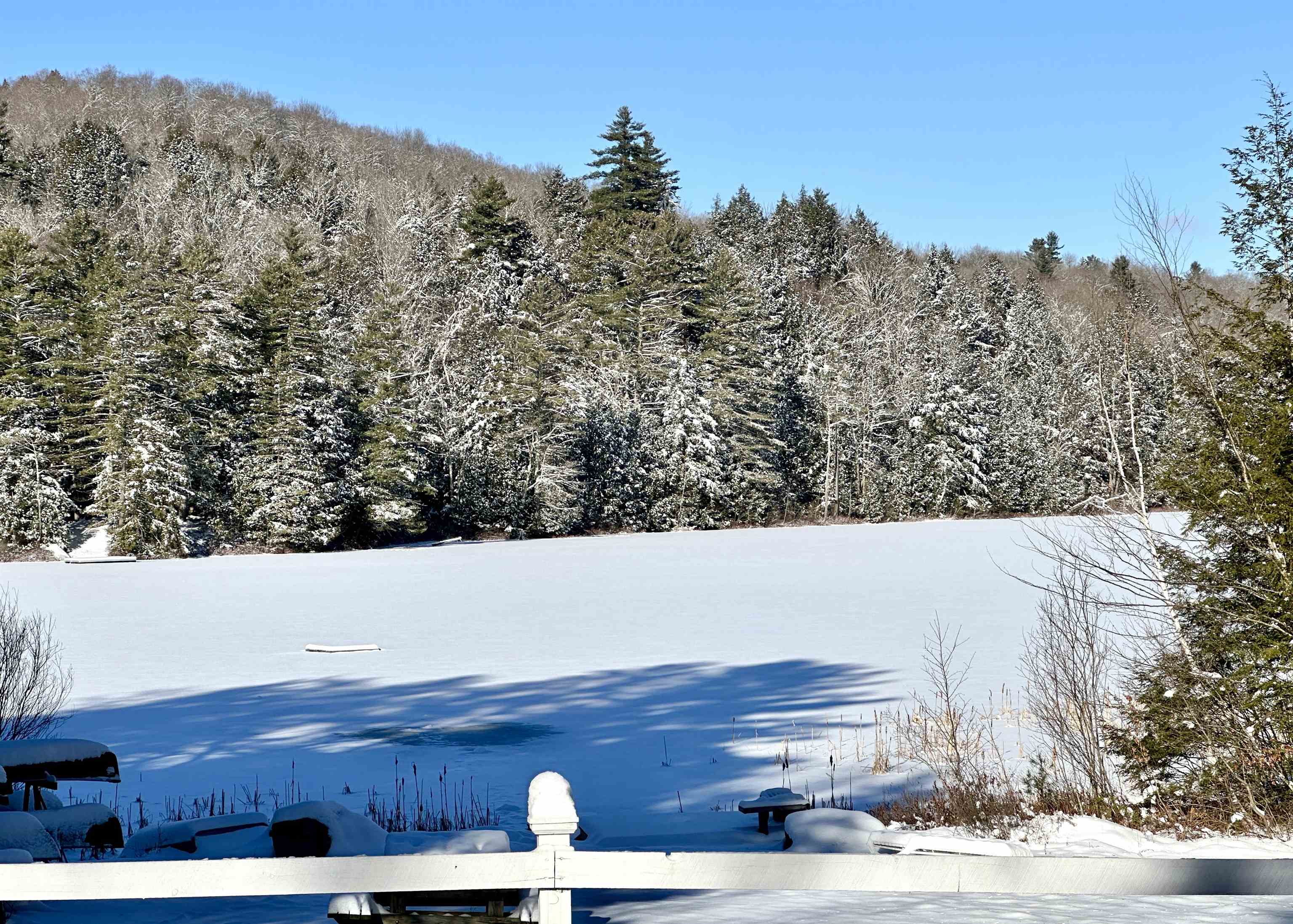 747 Cole Pond Road Jamaica, VT 05343 - Photo 29 of 40 Gallery Image 29