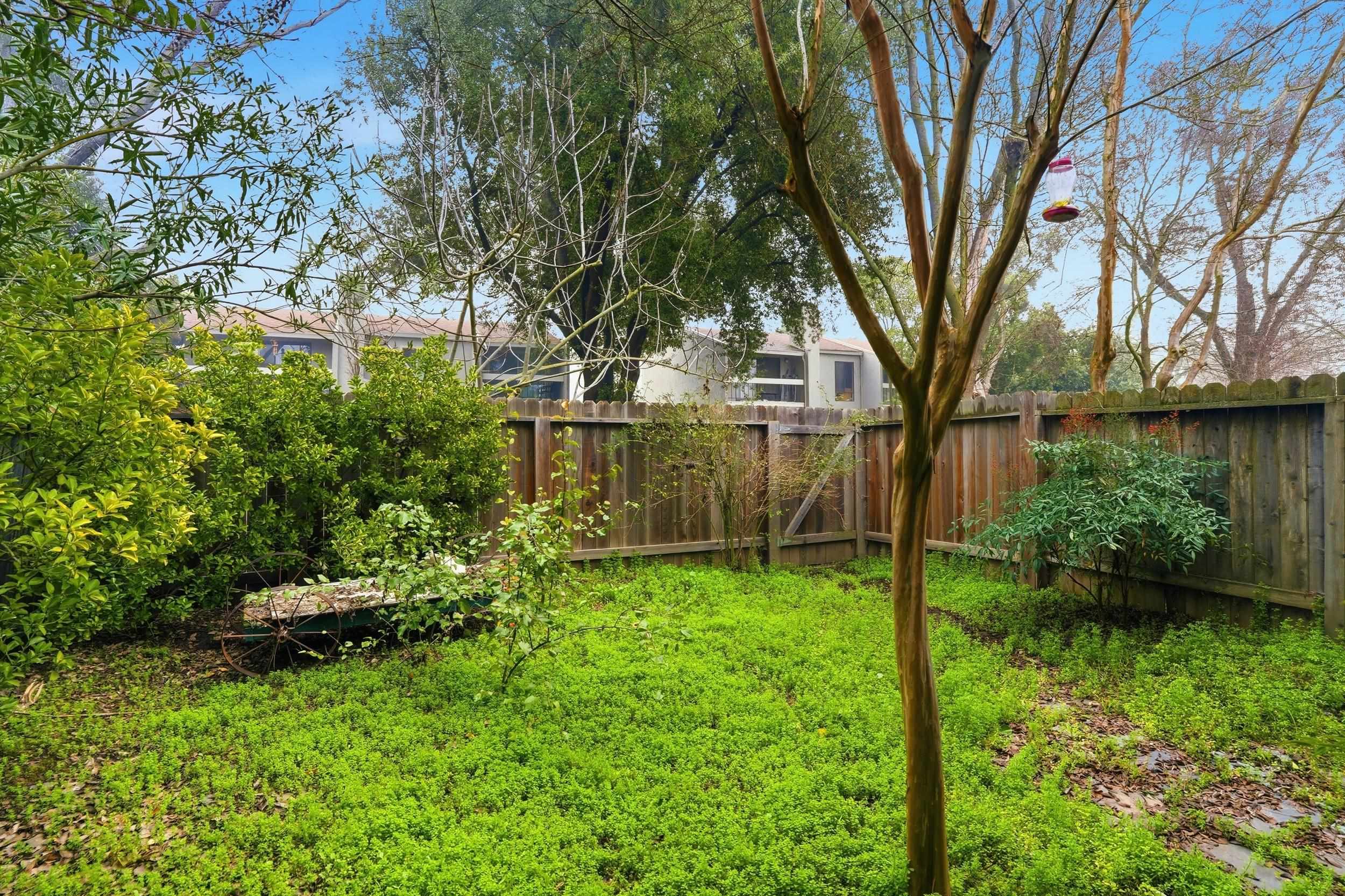 3401 Bermuda Avenue, Unit 6 Davis, CA 95616 - Photo 40 of 43 a backyard of a house with lots of green space
