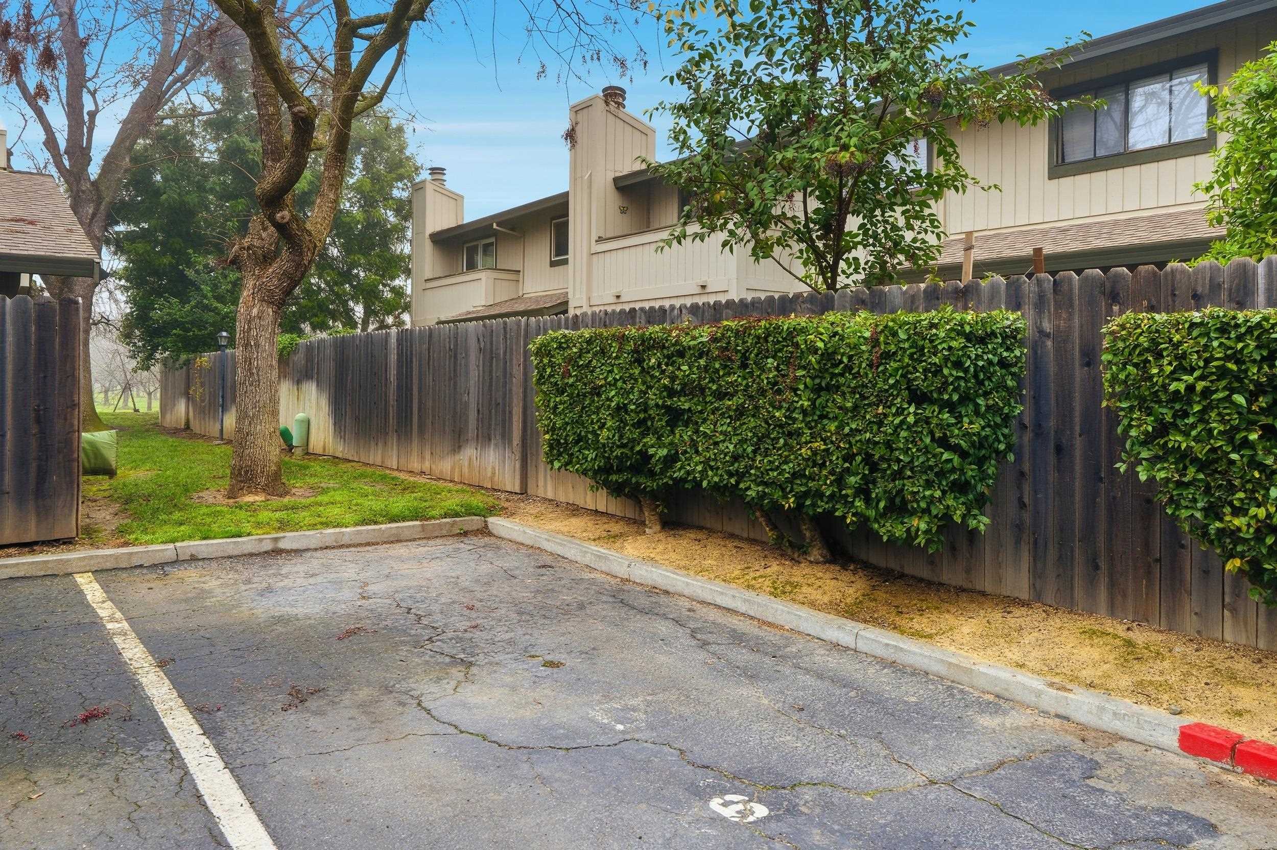 3401 Bermuda Avenue, Unit 6 Davis, CA 95616 - Photo 43 of 43 a view of a yard with potted plants