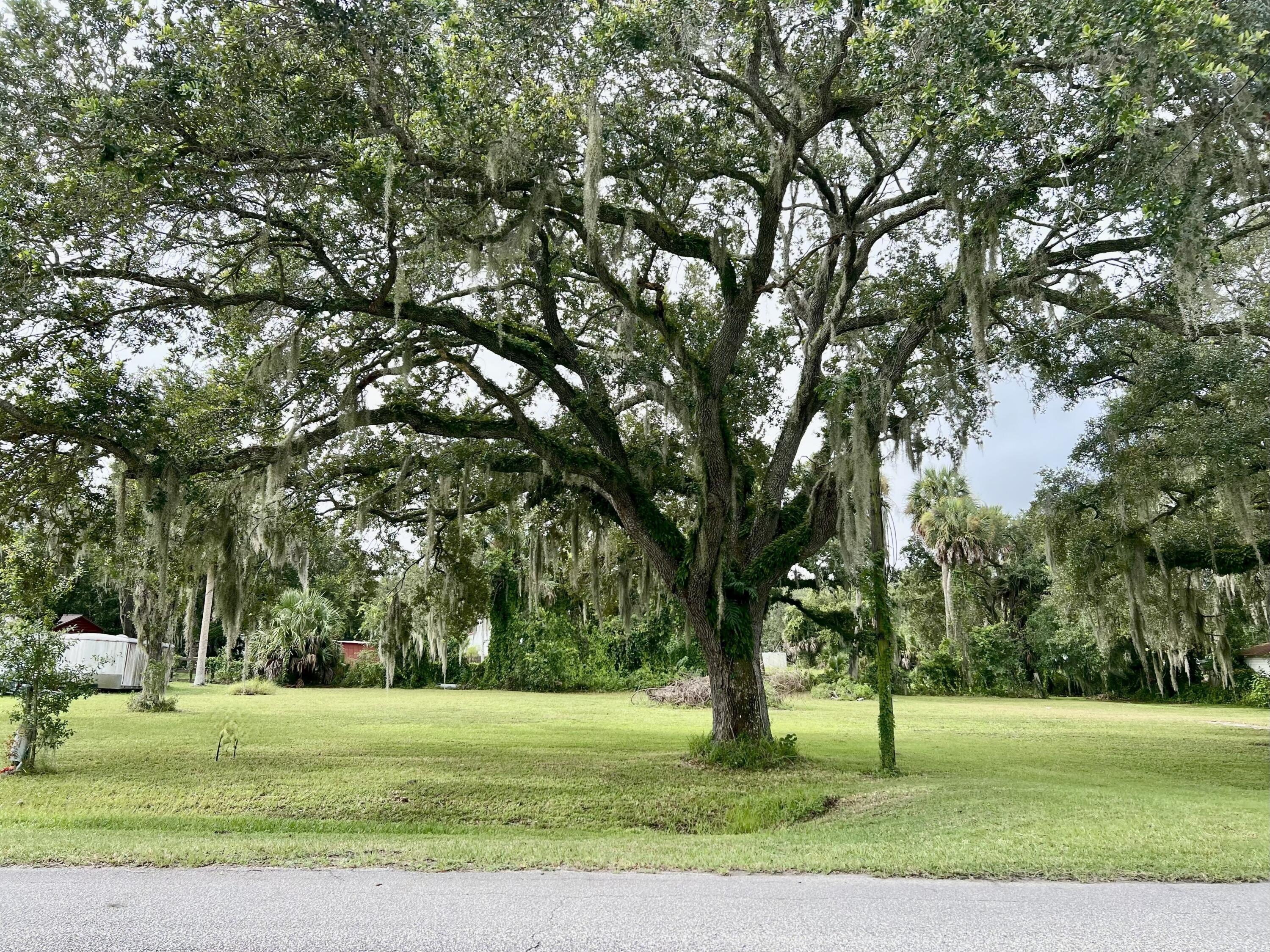 2070 Southwest 8th Street Okeechobee, FL 34974 - Photo 3 of 10 2