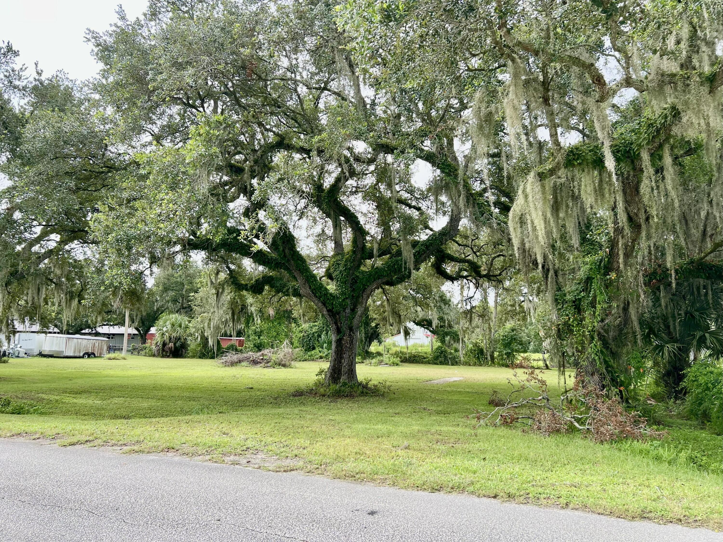 2070 Southwest 8th Street Okeechobee, FL 34974 - Photo 5 of 10 4