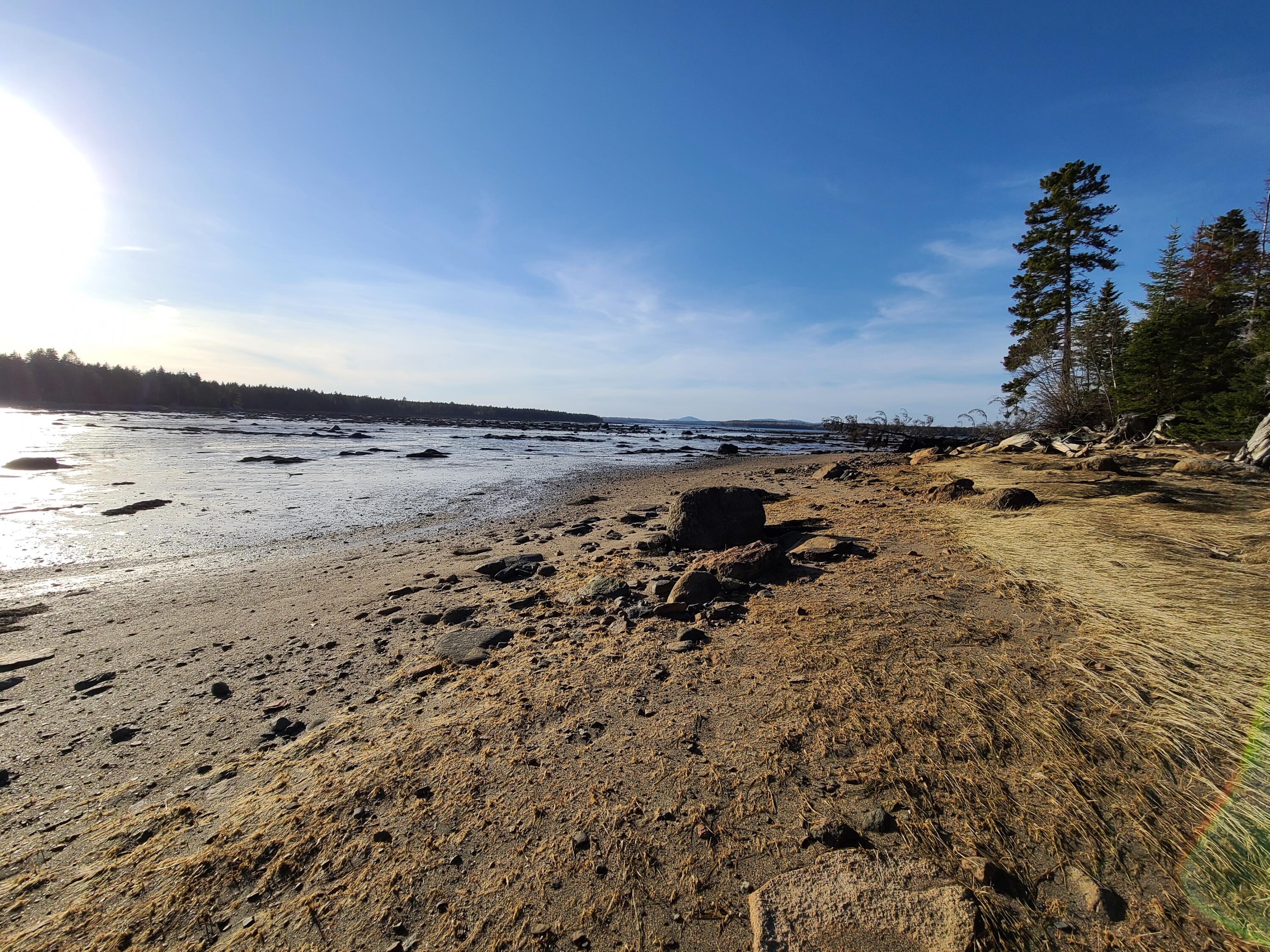 32 Peninsula Shores Road Corea, ME 04624 - Photo 5 of 23 Sandy Shore @ Low Tide