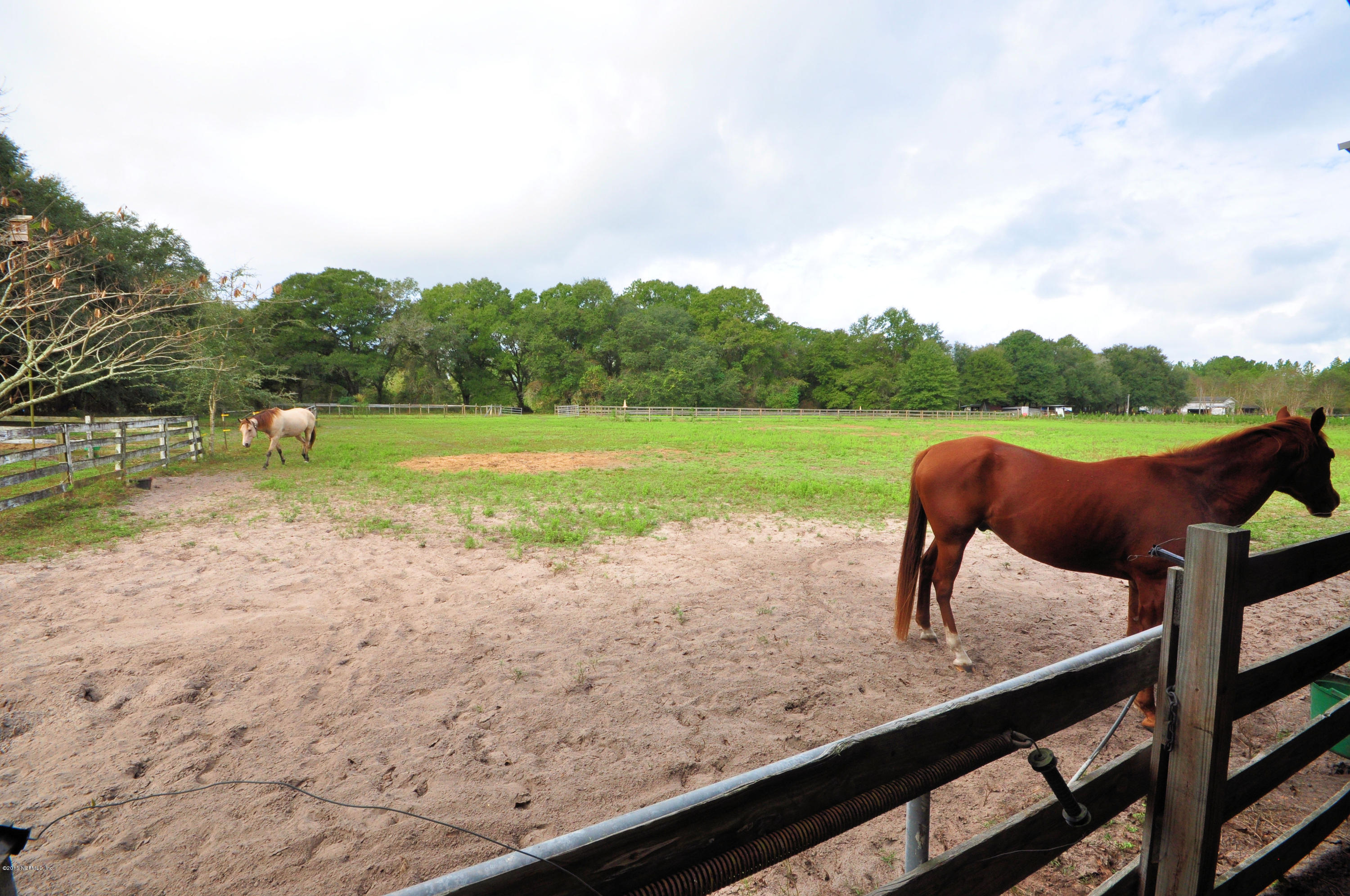273904 Murrhee Road Hilliard, FL 32046 - Photo 31 of 63 Bring Your Horses