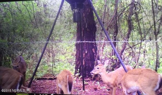 273904 Murrhee Road Hilliard, FL 32046 - Photo 49 of 63 Deer Cam 1