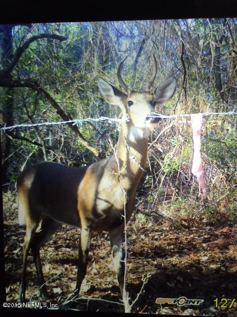 273904 Murrhee Road Hilliard, FL 32046 - Photo 51 of 63 Deer Cam 2