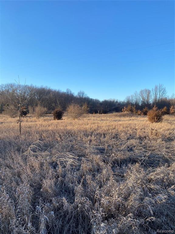 5000 Pawson Road Tipton, MI 49287 - Photo 19 of 19