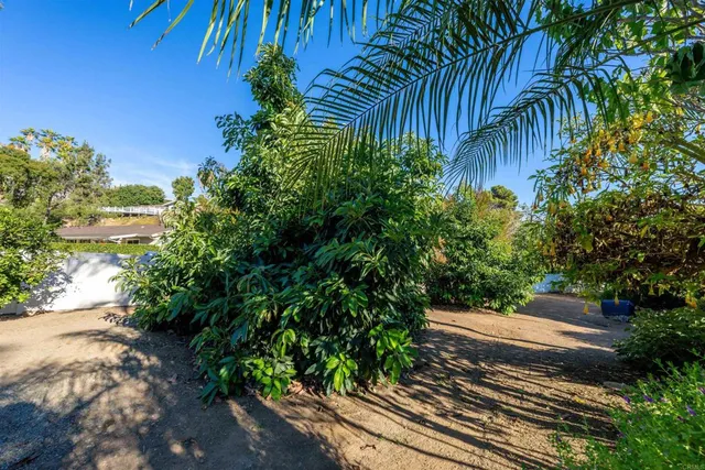 a view of a yard with plants and wooden fence