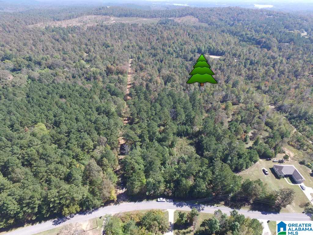 Sprayberry Road, Unit 103 Cropwell, AL 35054 - Photo 45 of 48