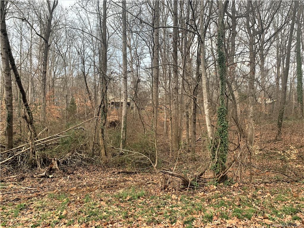 0 Nottingham Road Statesville, NC 28625 - Photo 2 of 4 Gallery Image 2