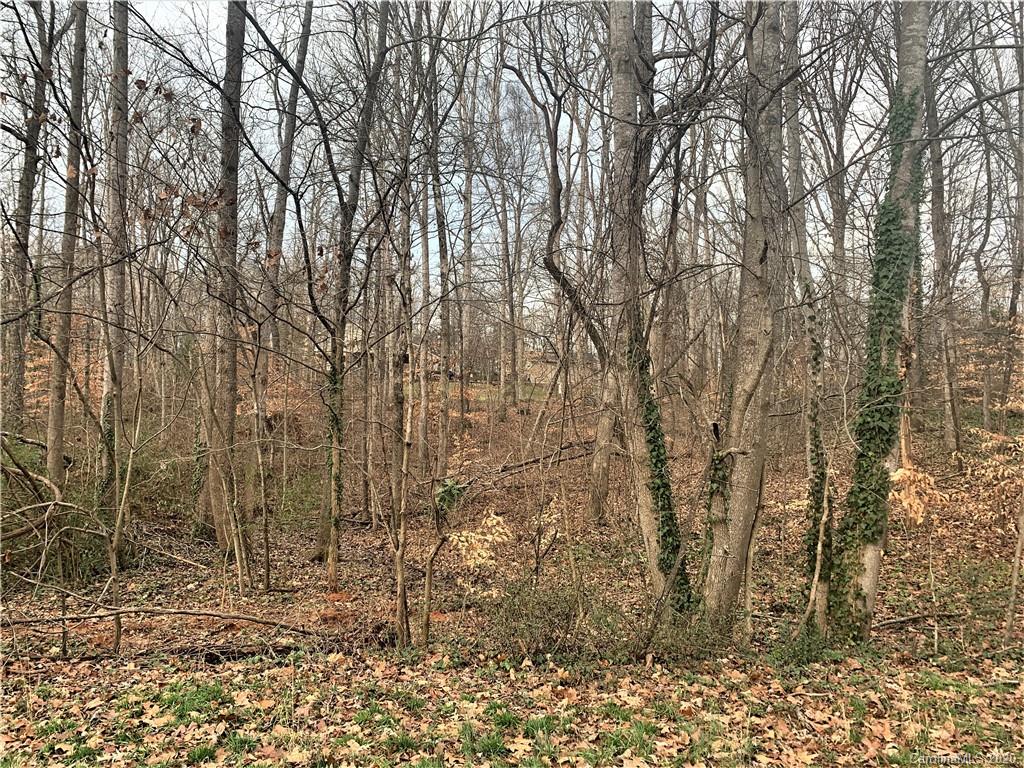 0 Nottingham Road Statesville, NC 28625 - Photo 3 of 4 Gallery Image 3