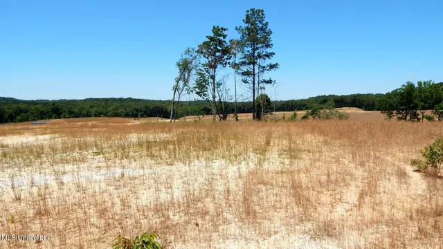 $62,500 | 102 Hugh White State Pk Road, Grenada, MS 38901