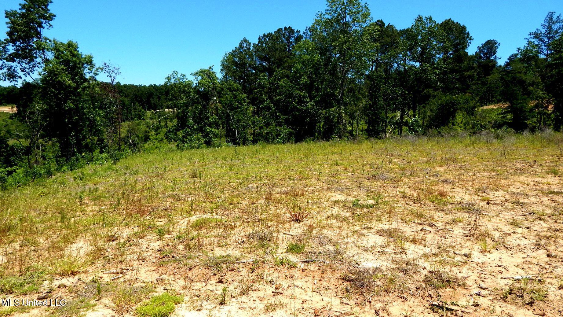 102 Hugh White State Pk Road Grenada, MS 38901 - Photo 2 of 11 DSCN6864
