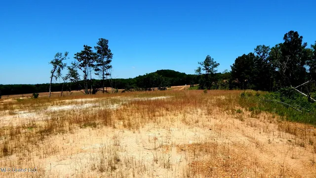 $62,500 | 102 Hugh White State Pk Road, Grenada, MS 38901