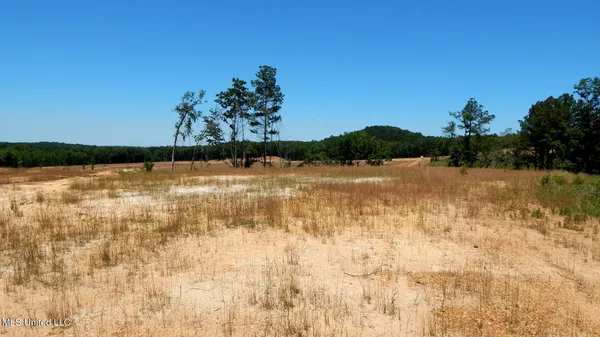 $62,500 | 102 Hugh White State Pk Road, Grenada, MS 38901