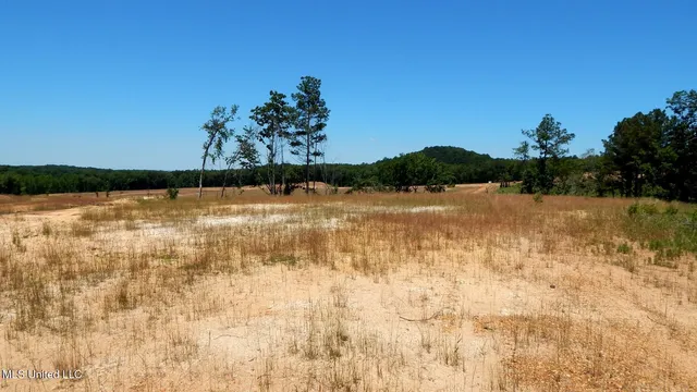 $62,500 | 102 Hugh White State Pk Road, Grenada, MS 38901