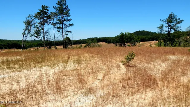 $62,500 | 102 Hugh White State Pk Road, Grenada, MS 38901