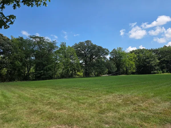 a view of a field of grass and trees