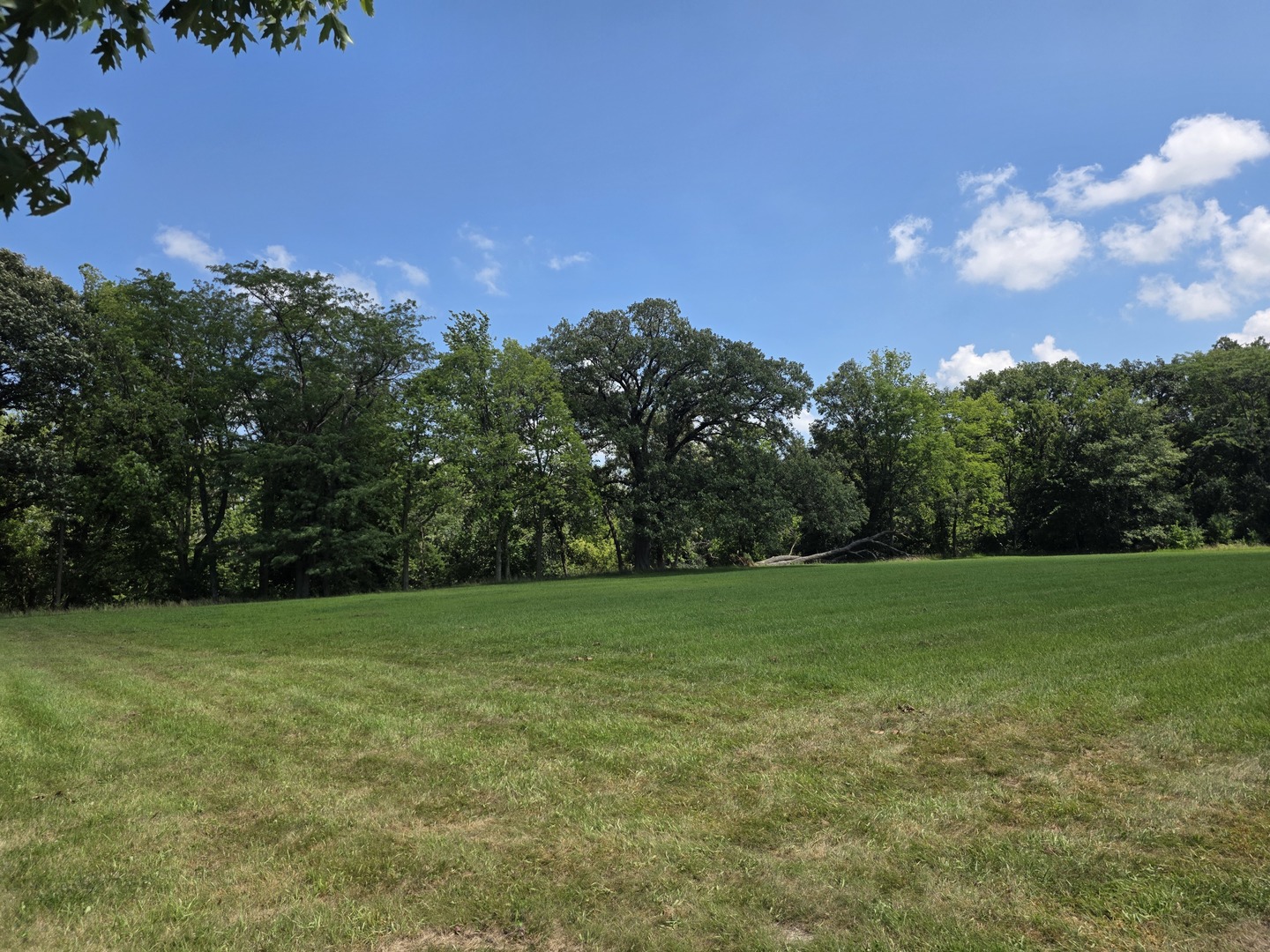 1635 Mockingbird Lane Pontiac, IL 61764 - Photo 1 of 1 a view of a field of grass and trees