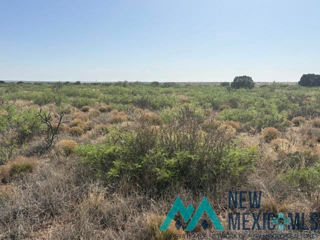 48 State Road 203 Fort Sumner, NM 88119 - Photo 13 of 17 Gallery Image 13