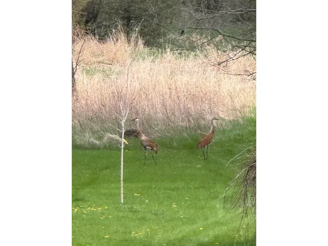 $634,900 | W2847 Pine Ridge Court, Belleville, WI 53508