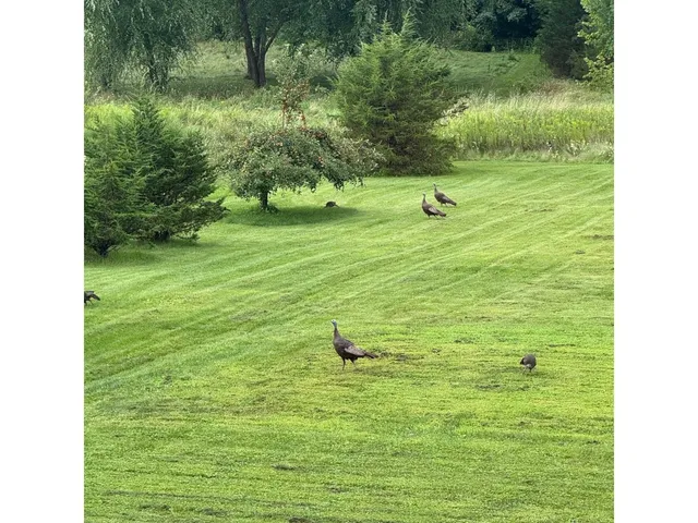 $634,900 | W2847 Pine Ridge Court, Belleville, WI 53508