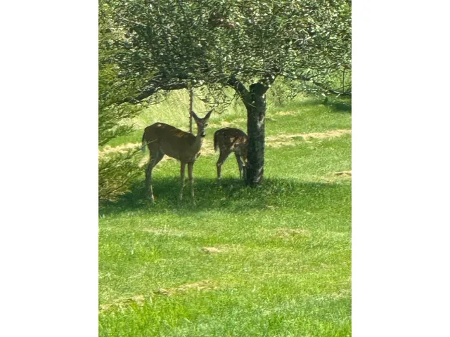 $634,900 | W2847 Pine Ridge Court, Belleville, WI 53508