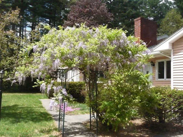 133 Patten Road Tewksbury, MA 01876 - Photo 30 of 30
