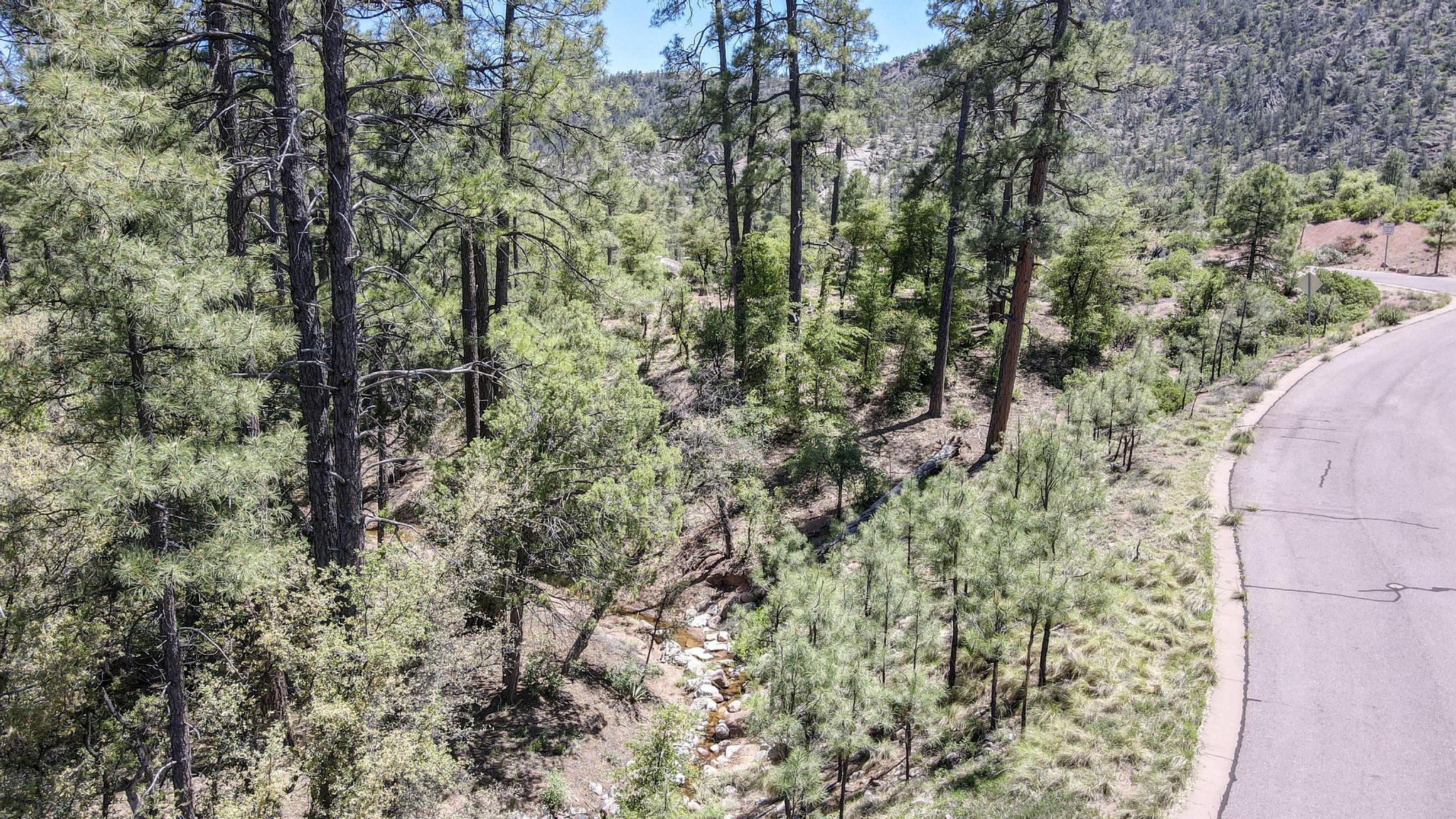 -- East Phoenix Street Payson, AZ 85541 - Photo 15 of 17 a view of a forest with a tree
